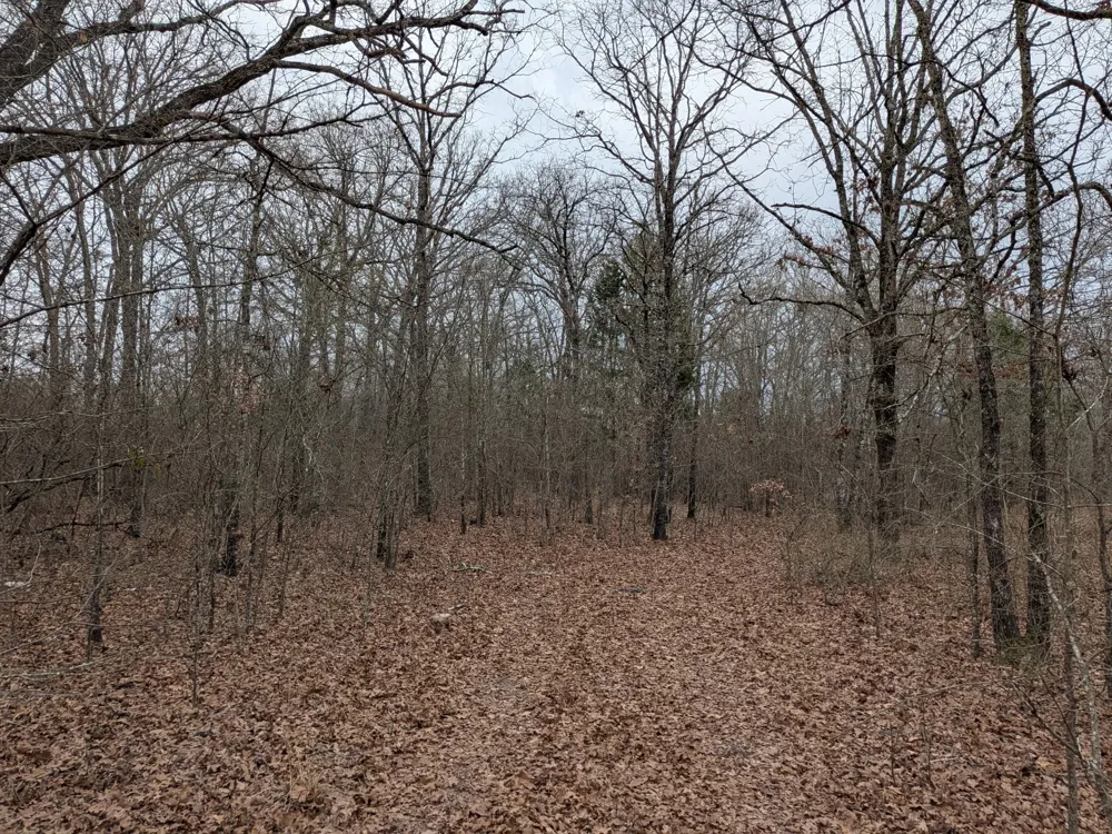 179 RS County Road 2572 Alba, TX 75410
