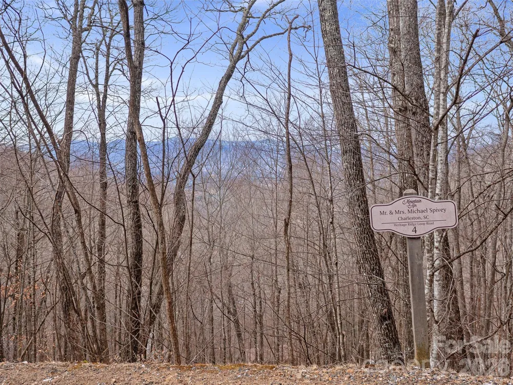 Lot 4 Heritage Ridge Loop Burnsville, NC 28714