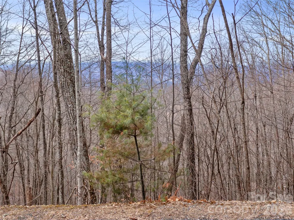 Lot 4 Heritage Ridge Loop Burnsville, NC 28714