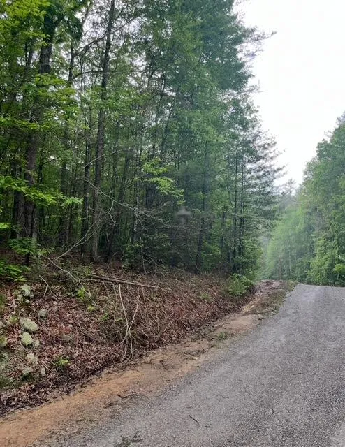 Possum Trot Road Grandview, TN 37337