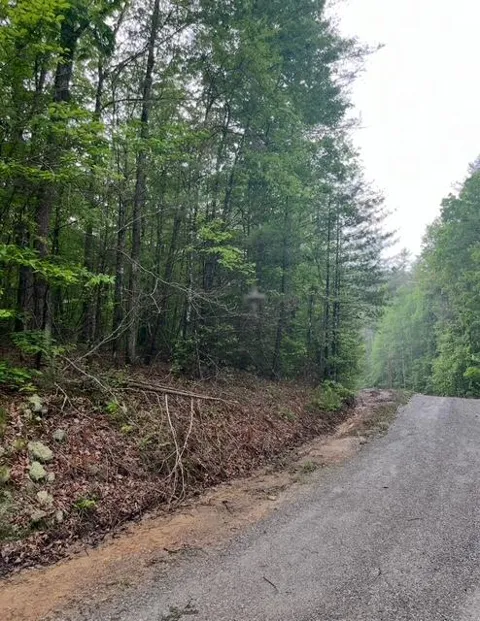 Possum Trot Road