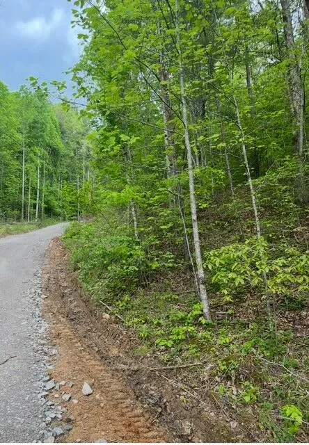 Possum Trot Road Grandview, TN 37337