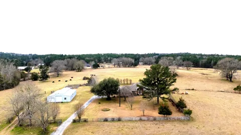 12987 County Road 452