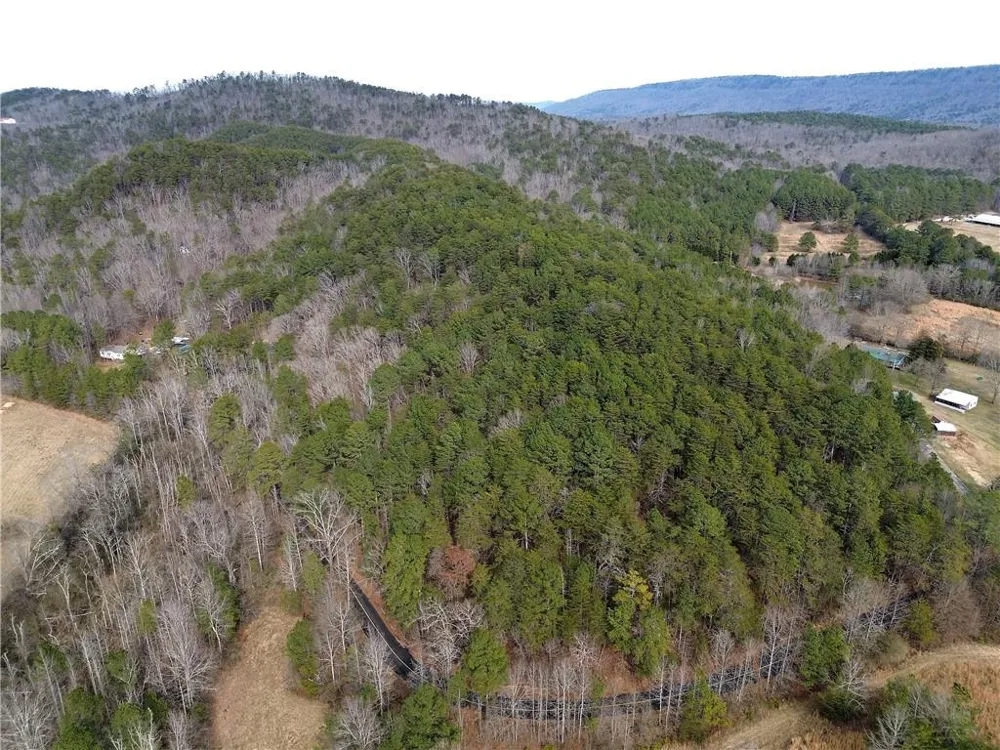 00 Manning Mill Road Summerville, GA 30747