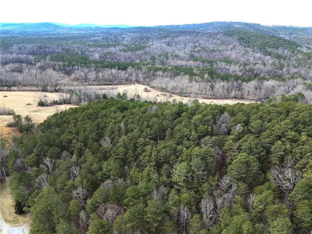 00 Manning Mill Road Summerville, GA 30747