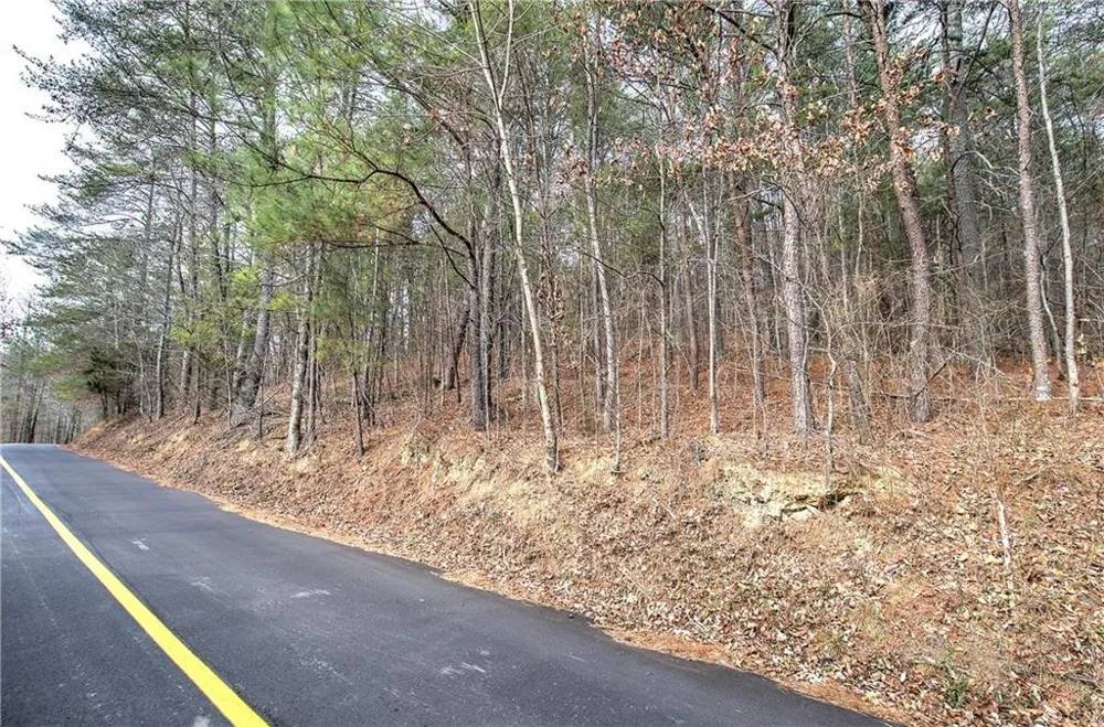 00 Manning Mill Road Summerville, GA 30747