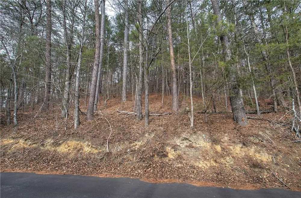 00 Manning Mill Road Summerville, GA 30747