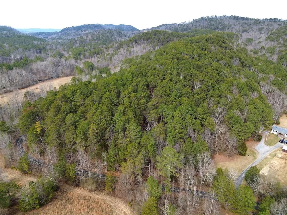 00 Manning Mill Road Summerville, GA 30747
