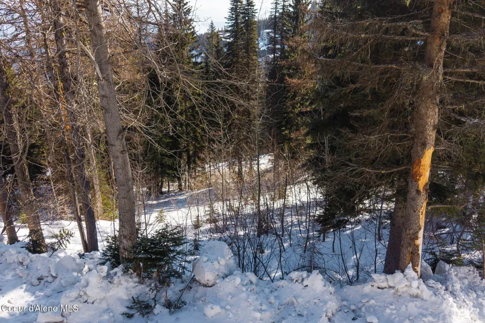 NNA Mogul Hill Road Sandpoint, ID 83864