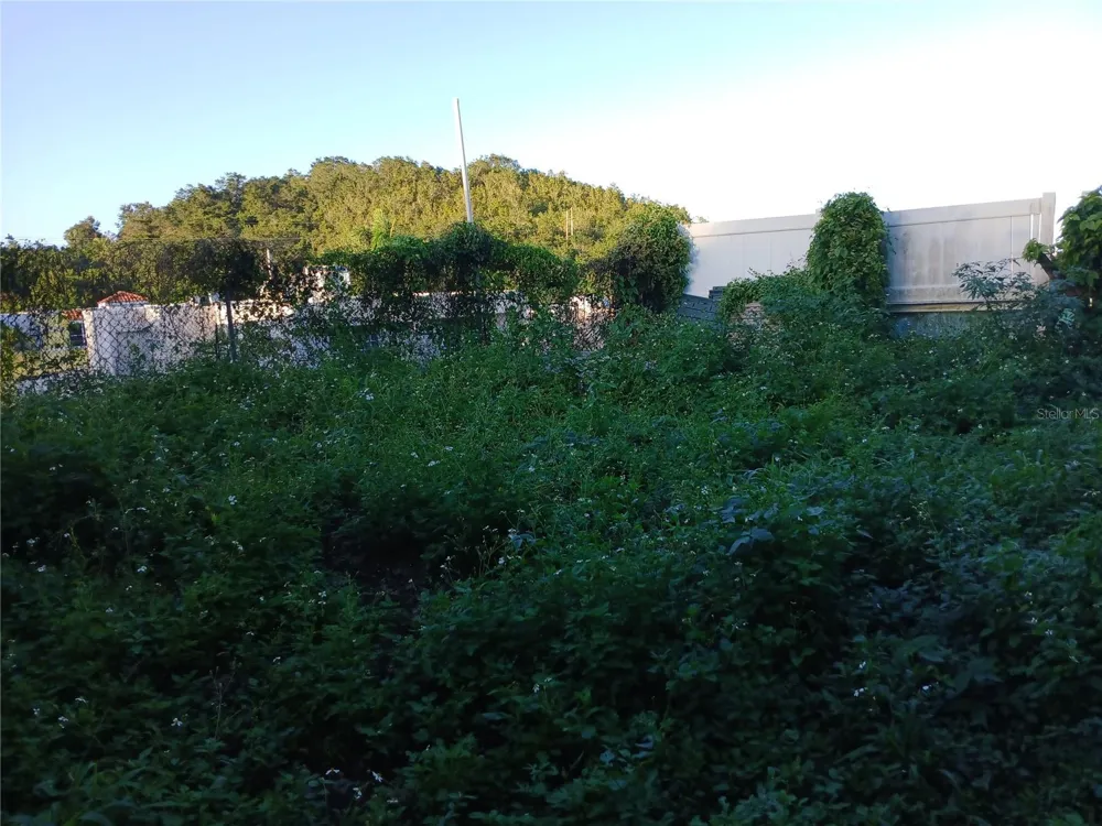 CALLE RIO PITAHAYA RIVER EDGE HILLS #120 Luquillo, PR 00773