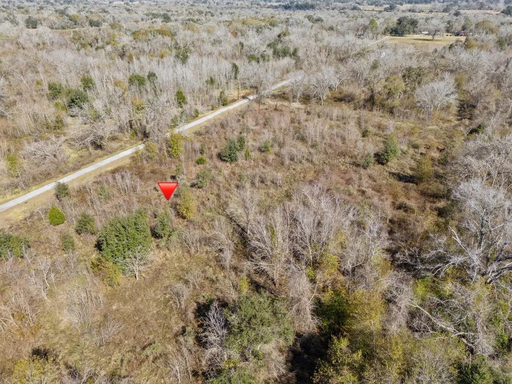 Cr 165/ Holmes Cedar Lane, TX 77415