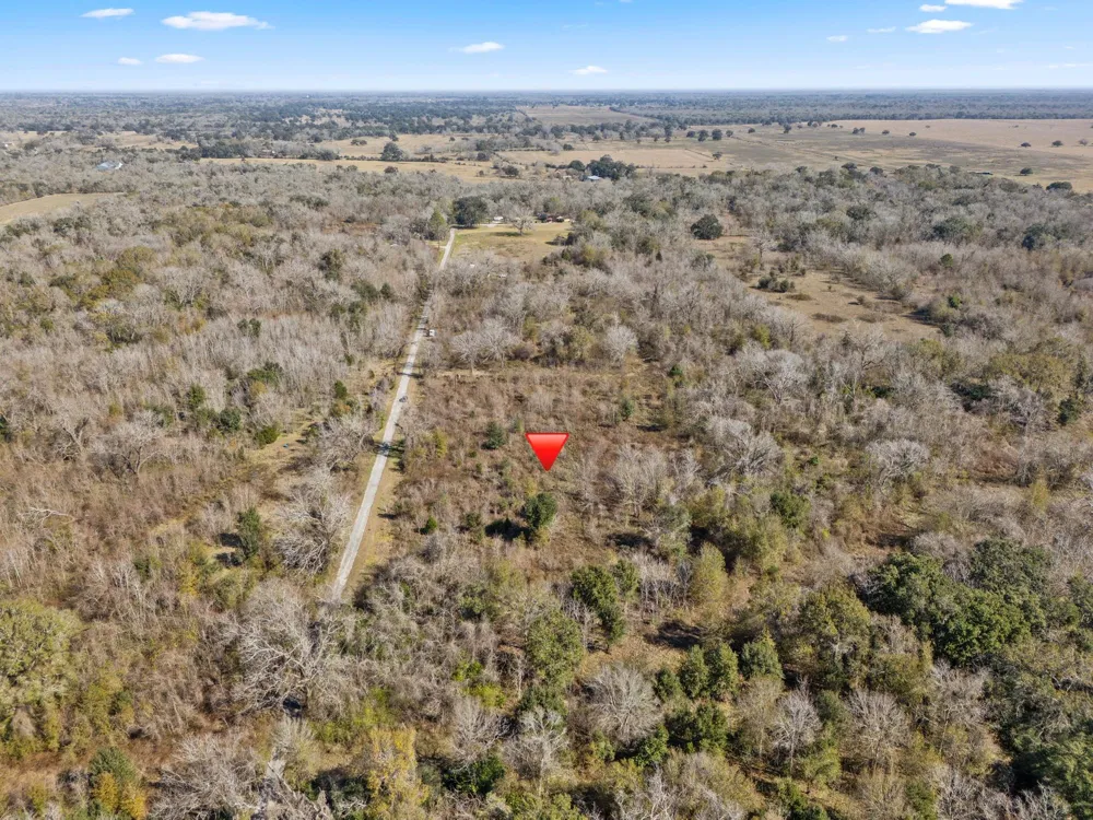 Cr 165/ Holmes Cedar Lane, TX 77415