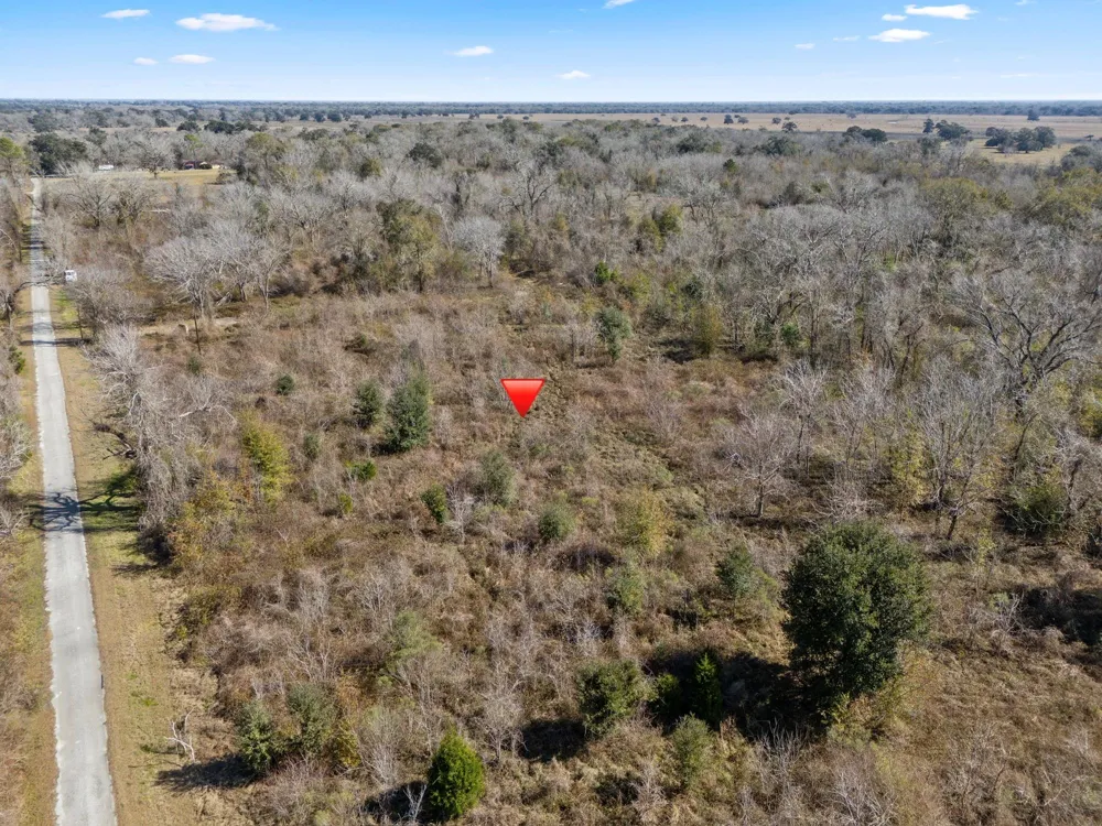 Cr 165/ Holmes Cedar Lane, TX 77415