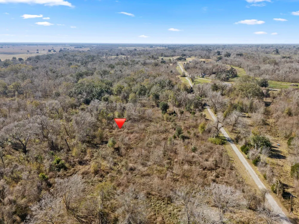 Cr 165/ Holmes Cedar Lane, TX 77415