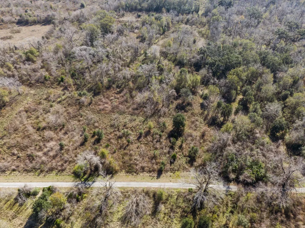 Cr 165/ Holmes Cedar Lane, TX 77415