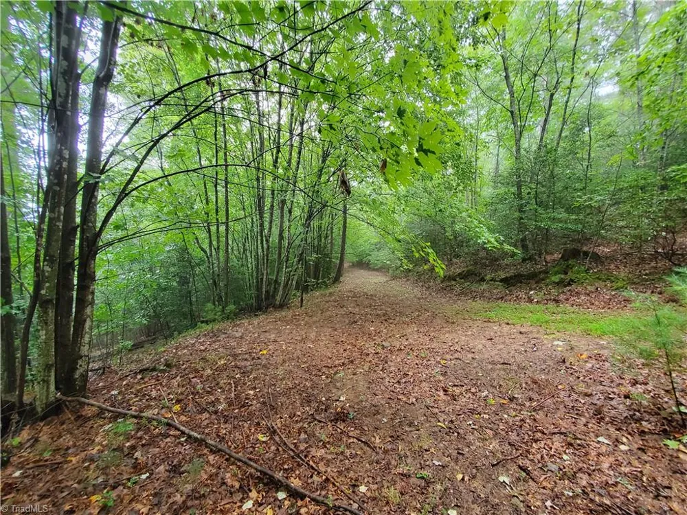 TBD Taylorsville Road Granite Falls, NC 28645
