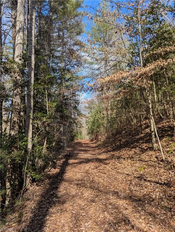 TBD Taylorsville Road Granite Falls, NC 28645