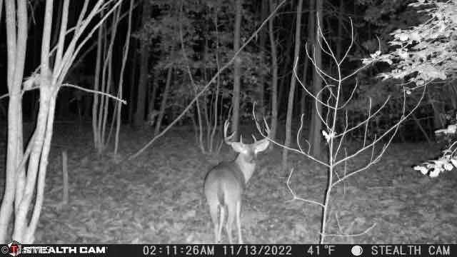 TBD Taylorsville Road Granite Falls, NC 28645