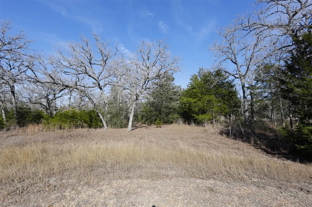 110 Poplar Lane Somerville, TX 77879