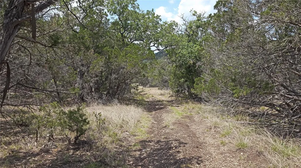 129 Spring Country Ranch Road Leakey, TX 78873