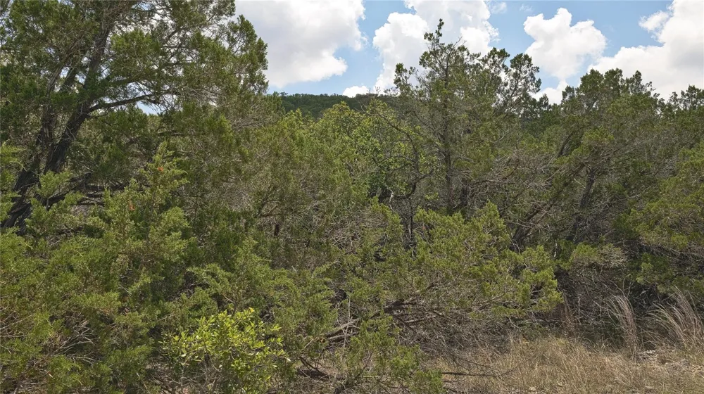 129 Spring Country Ranch Road Leakey, TX 78873