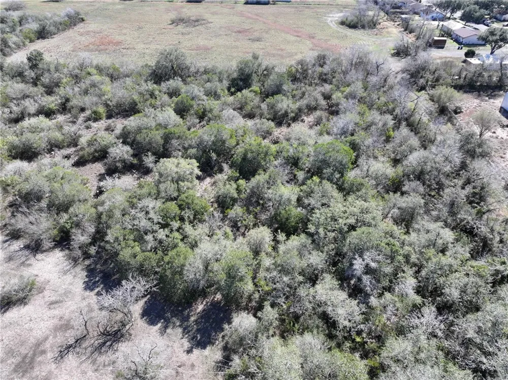 2500 S Washington Street Beeville, TX 78102