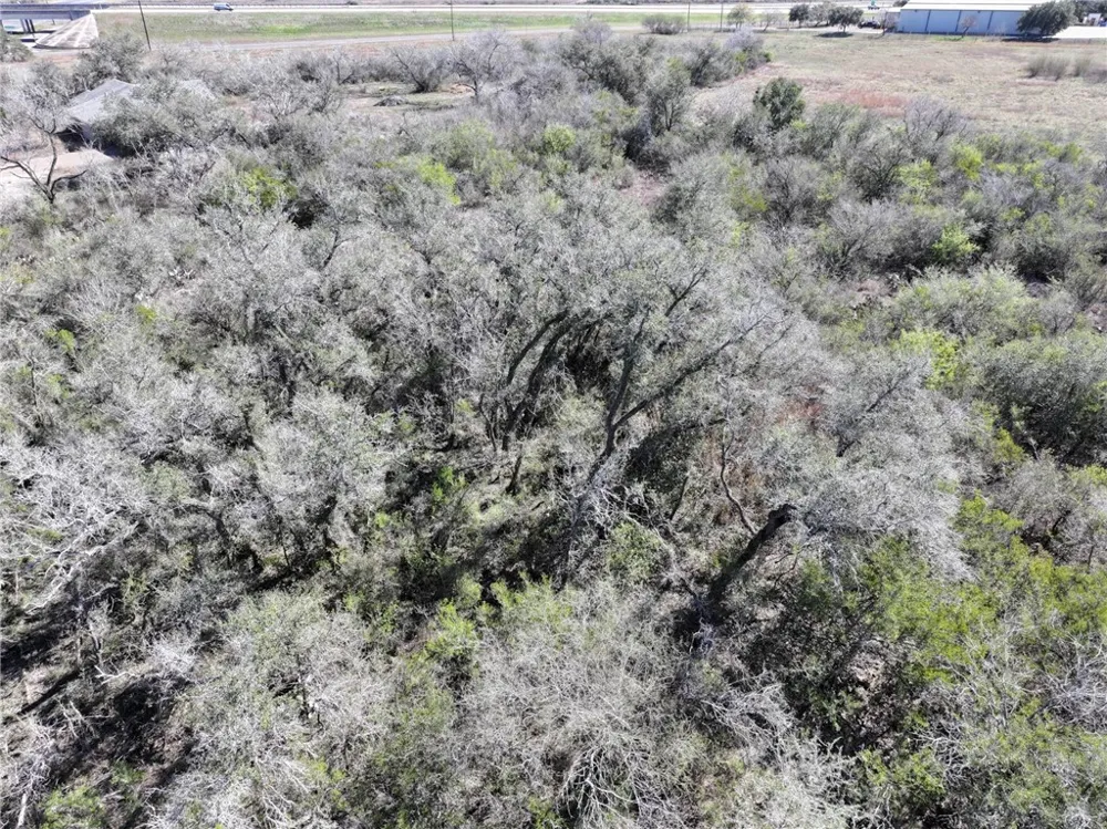 2500 S Washington Street Beeville, TX 78102