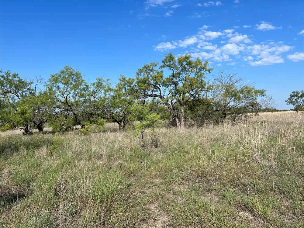 FM 2005 Hamilton, TX 76531