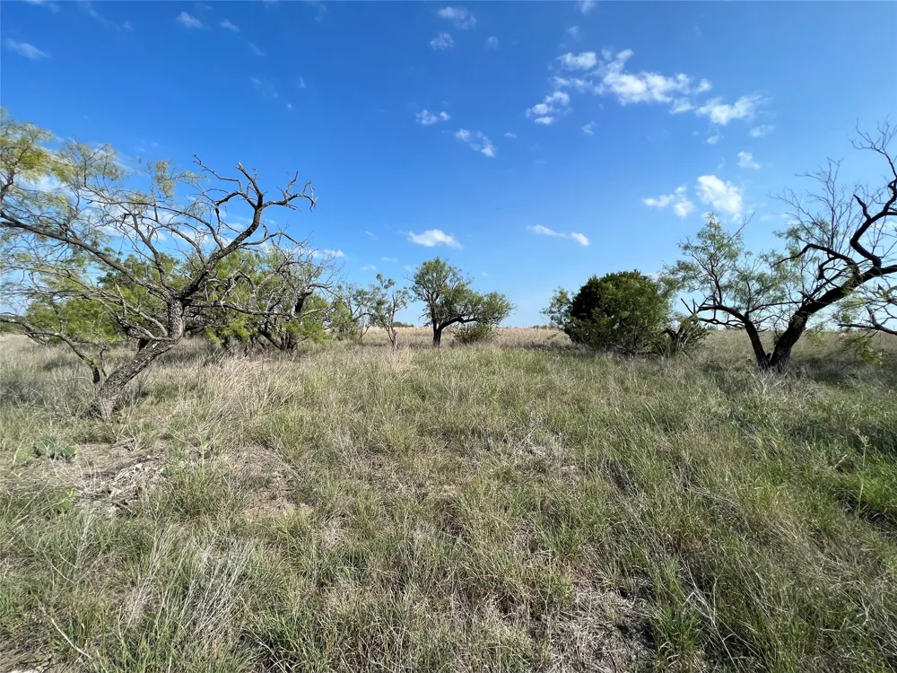 FM 2005 Hamilton, TX 76531