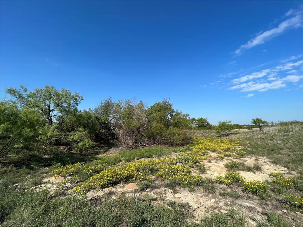 FM 2005 Hamilton, TX 76531