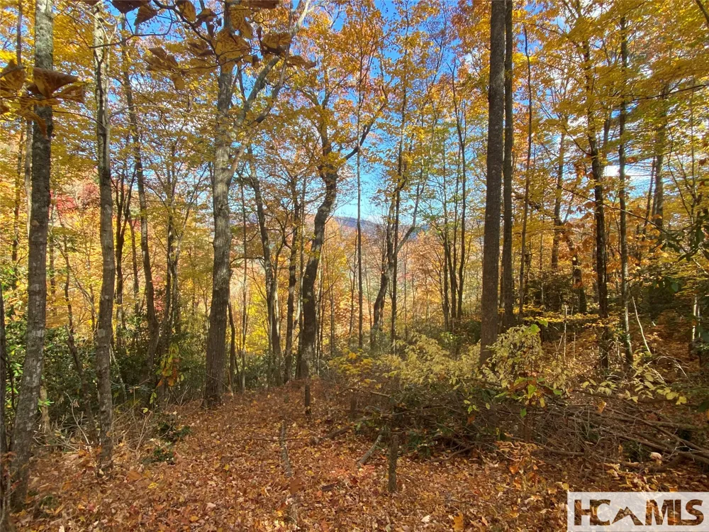 36 Rock Mountain Rd Sapphire, NC 28774