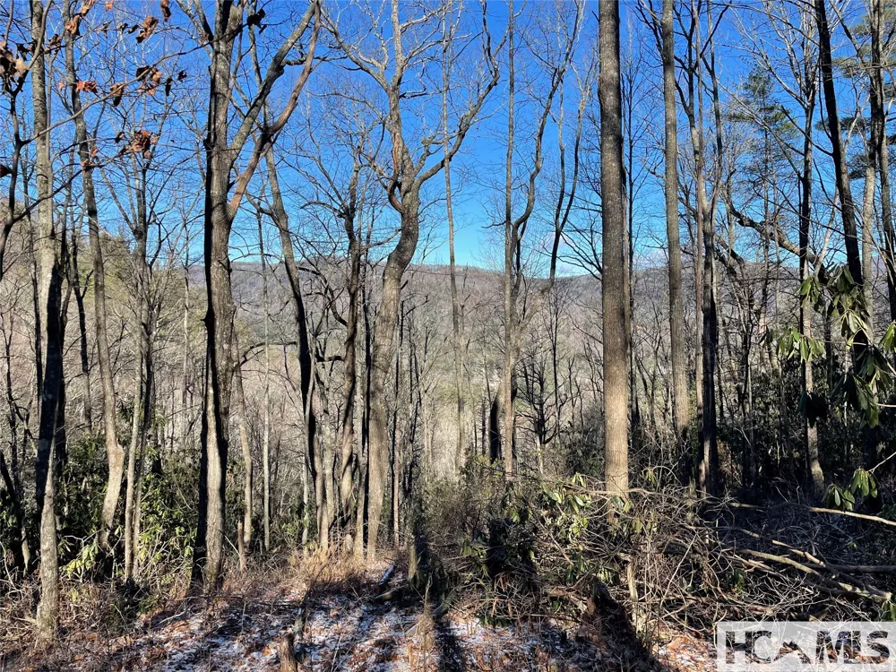 36 Rock Mountain Rd Sapphire, NC 28774
