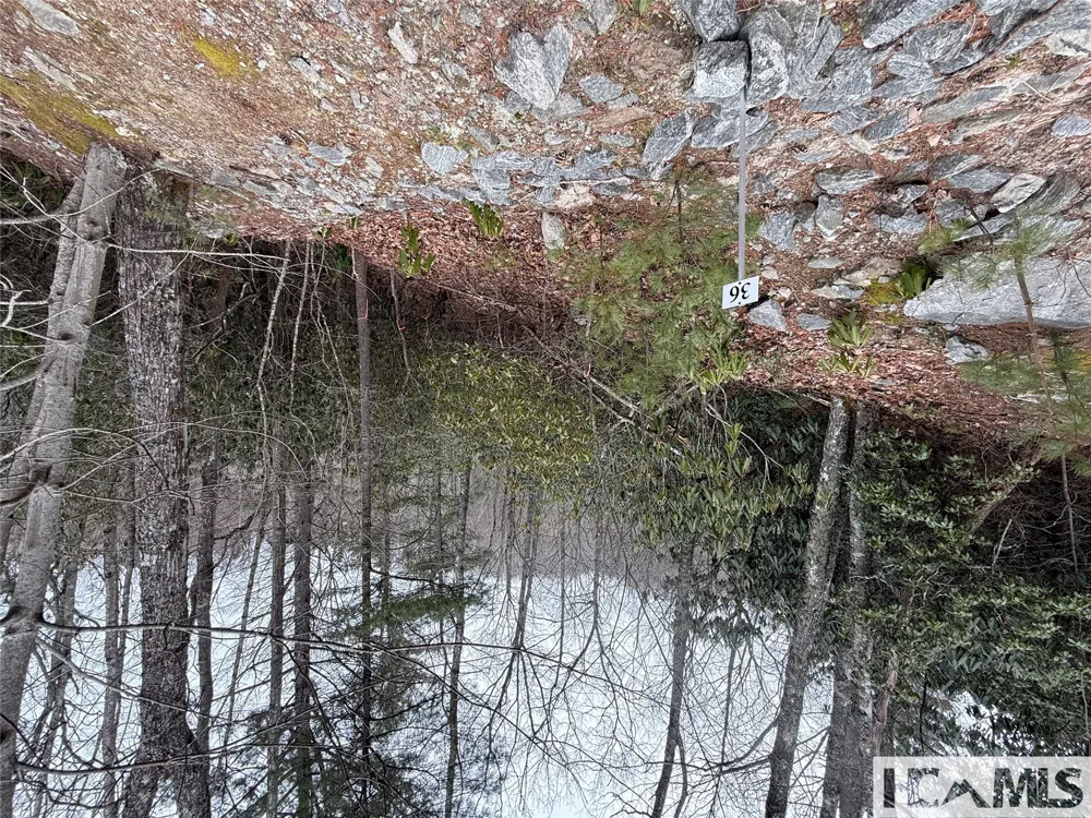 36 Rock Mountain Rd Sapphire, NC 28774