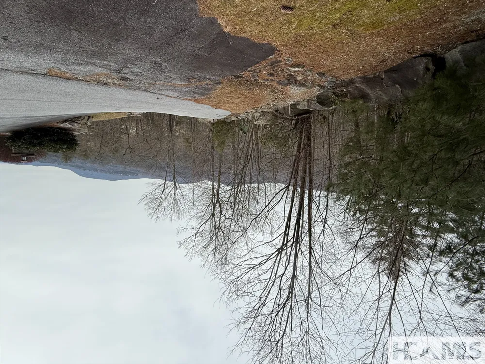 36 Rock Mountain Rd Sapphire, NC 28774