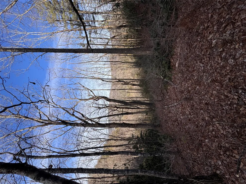 36 Rock Mountain Rd Sapphire, NC 28774