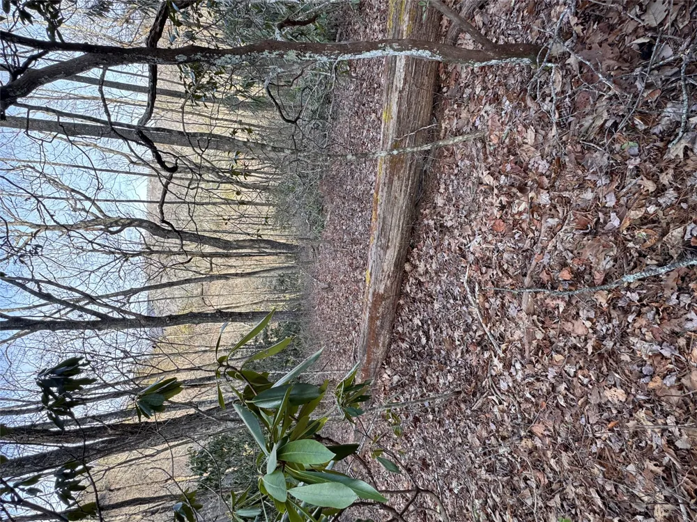36 Rock Mountain Rd Sapphire, NC 28774