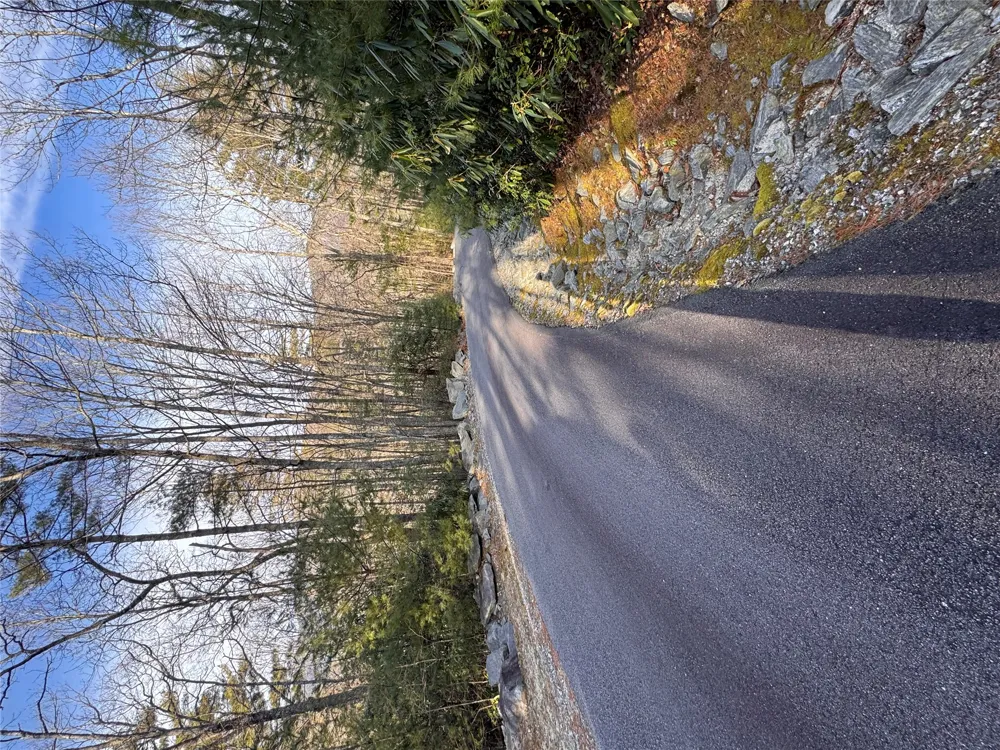 36 Rock Mountain Rd Sapphire, NC 28774