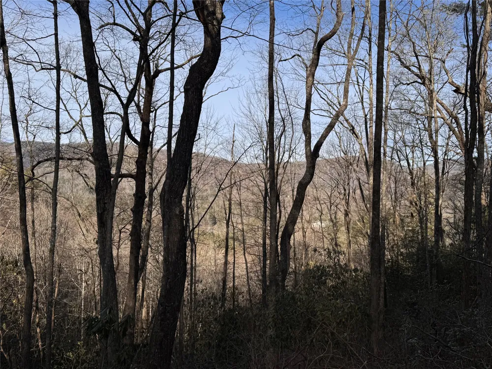 36 Rock Mountain Rd Sapphire, NC 28774
