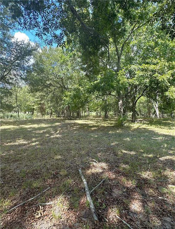 853 County Road 206 Bremond, TX 76629