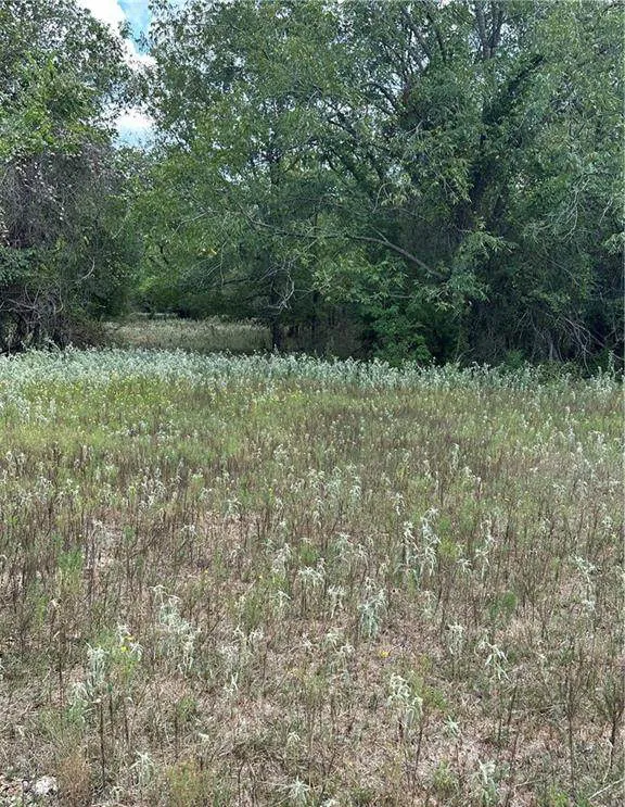 853 County Road 206 Bremond, TX 76629