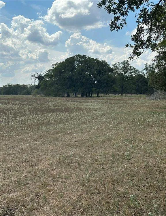 853 County Road 206 Bremond, TX 76629