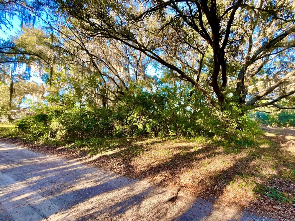TBD LAKEVIEW WAY Interlachen, FL 32148
