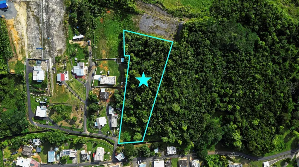 Calle Brillante ARSENALES BAJOS Isabela, PR 00662