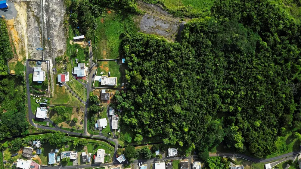 Calle Brillante ARSENALES BAJOS Isabela, PR 00662