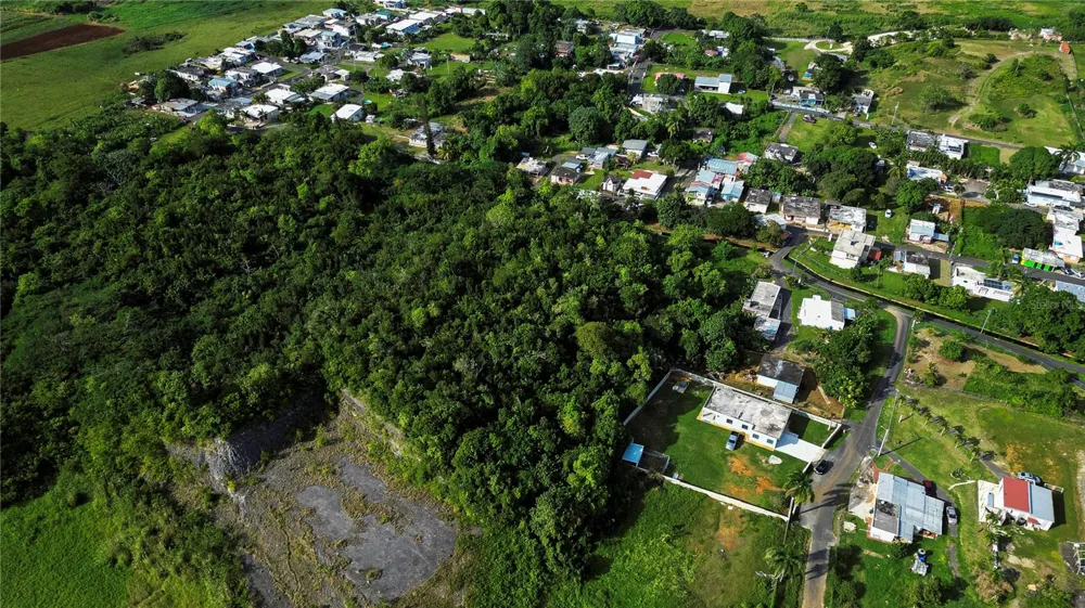 Calle Brillante ARSENALES BAJOS Isabela, PR 00662