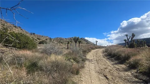 Pinon Road to Mescal Highlands