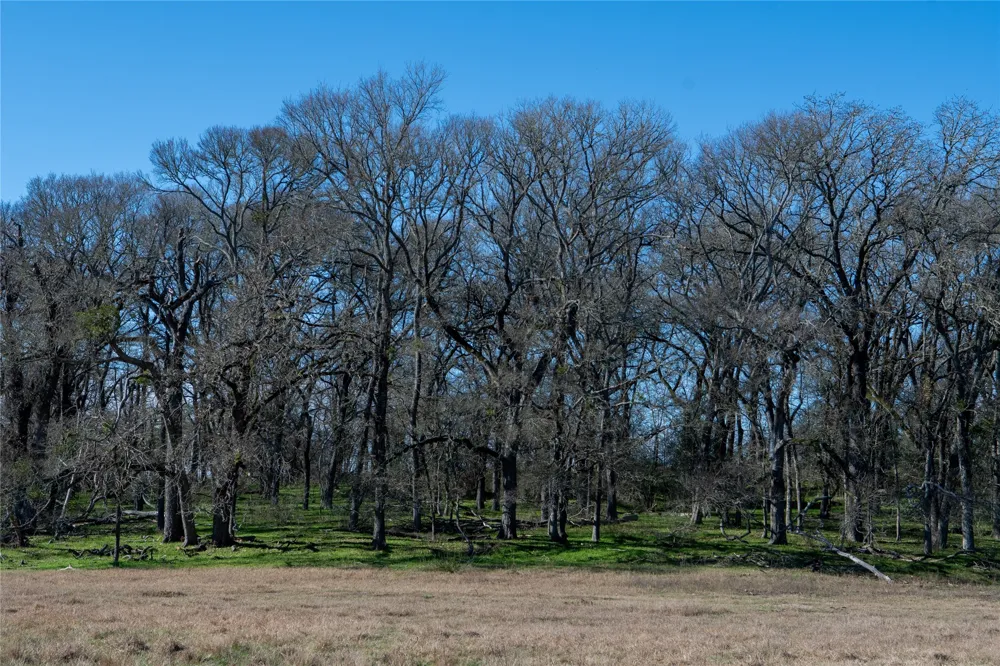 LCR 412 Groesbeck, TX 76642