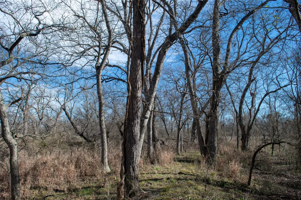 LCR 412 Groesbeck, TX 76642