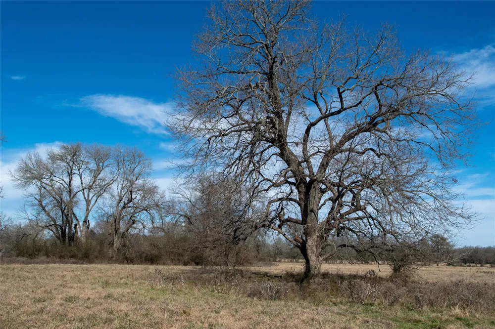 LCR 412 Groesbeck, TX 76642