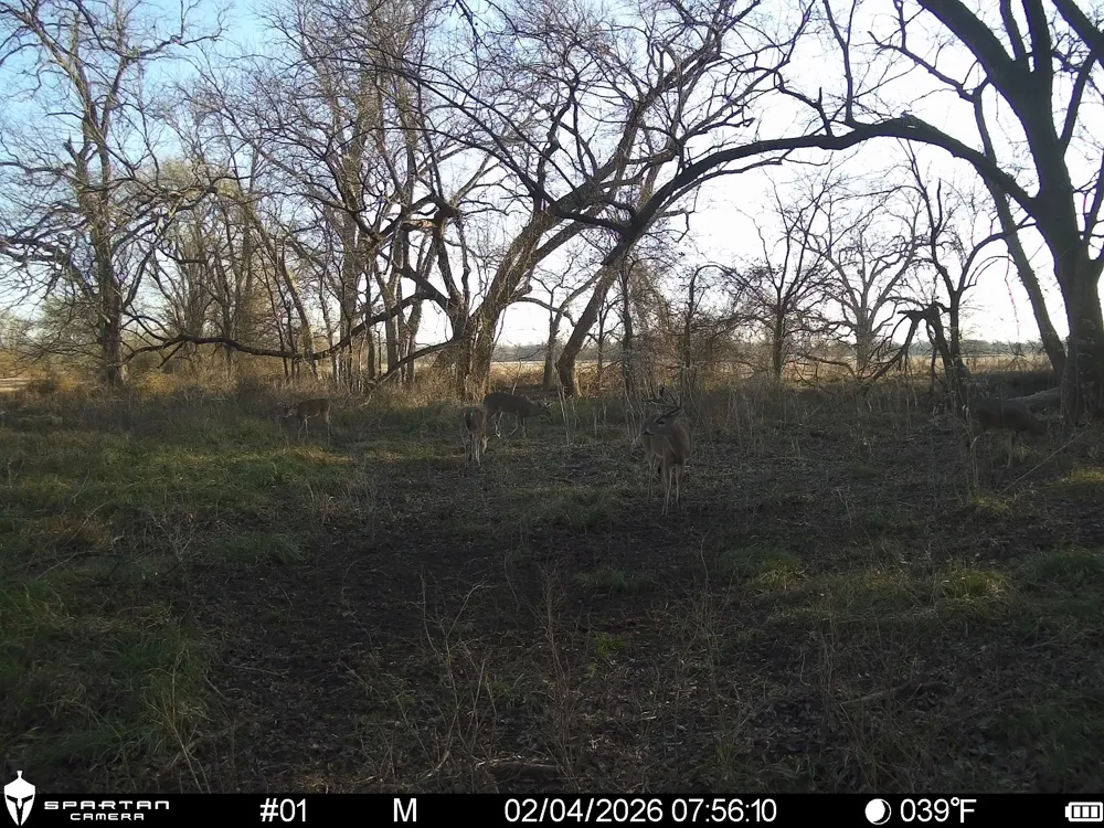 LCR 412 Groesbeck, TX 76642